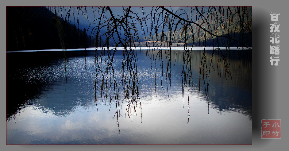 DSC04879.jpg