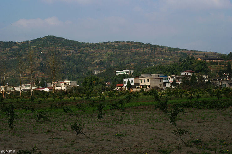 DSC00008.jpg