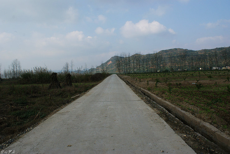 DSC00012.jpg