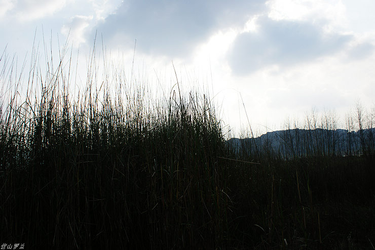 DSC00017.jpg