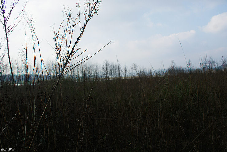 DSC00019.jpg