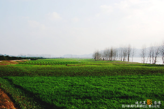 DSC_3426.jpg