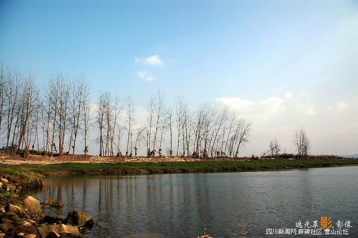 DSC_3380.jpg