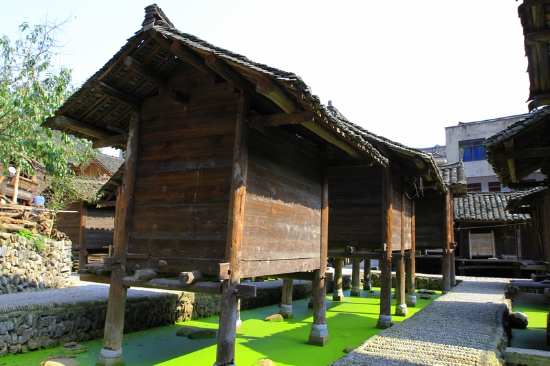 _MG_3587.jpg