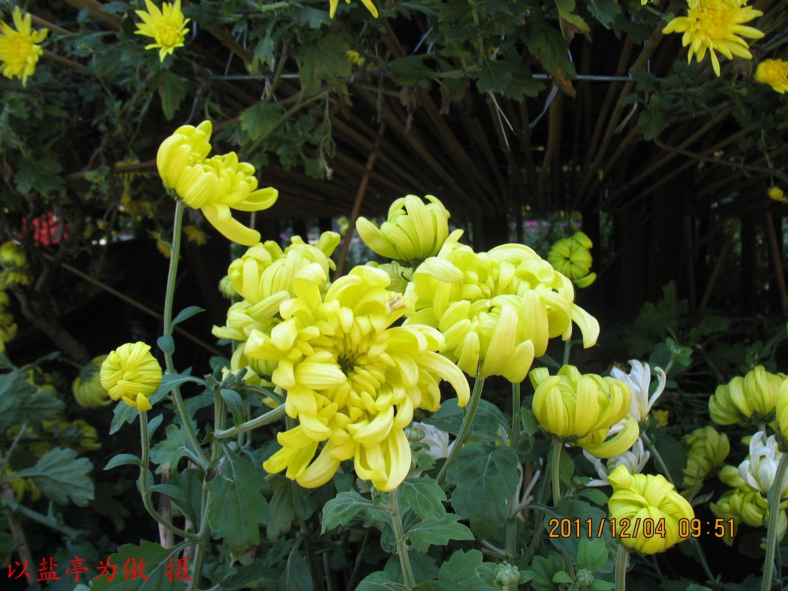 20111204ڶջչ10.jpg