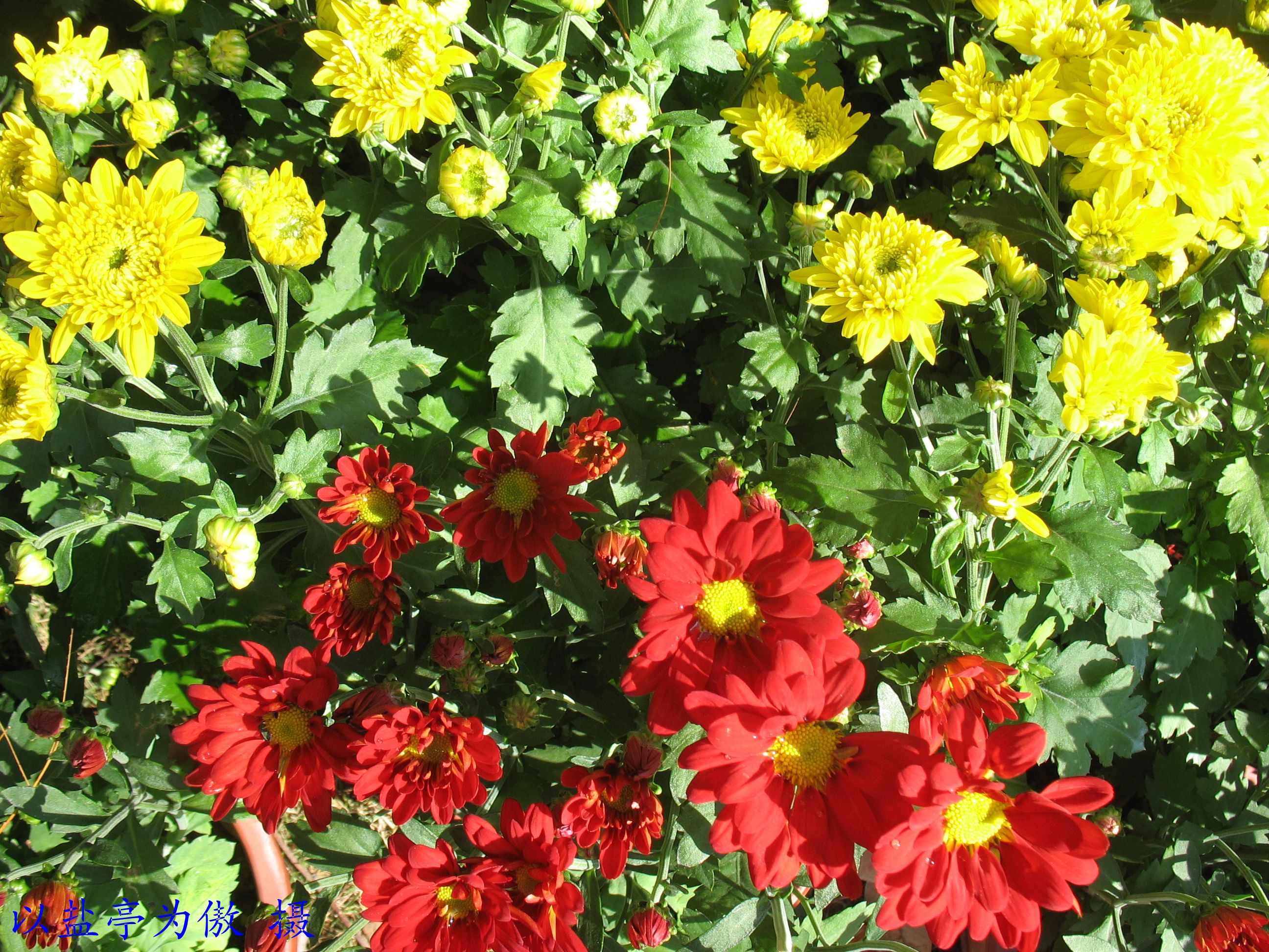 20111204ڶջչ16.jpg