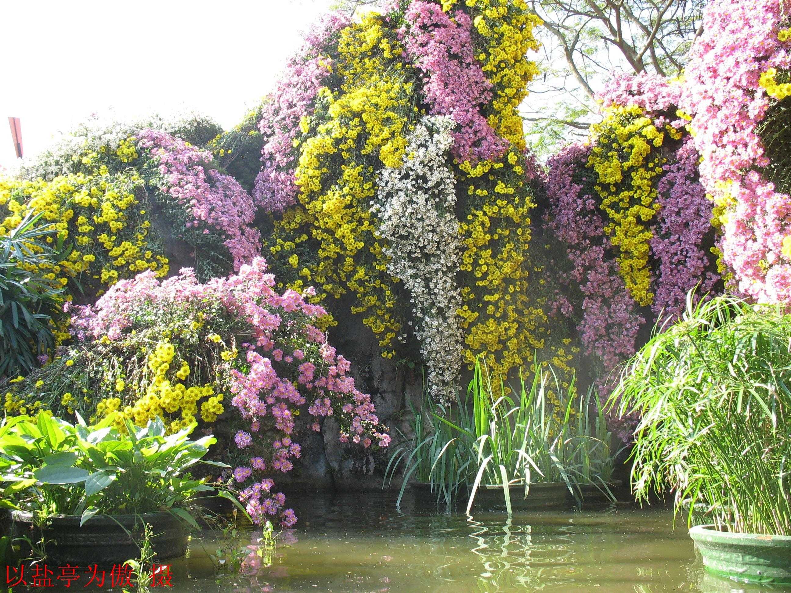 20111204ڶջչ18.jpg