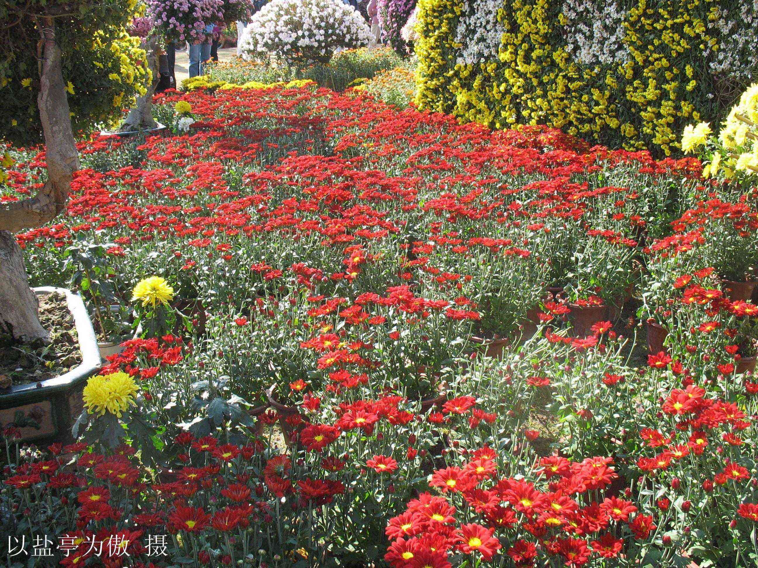 20111204ڶջչ24.jpg