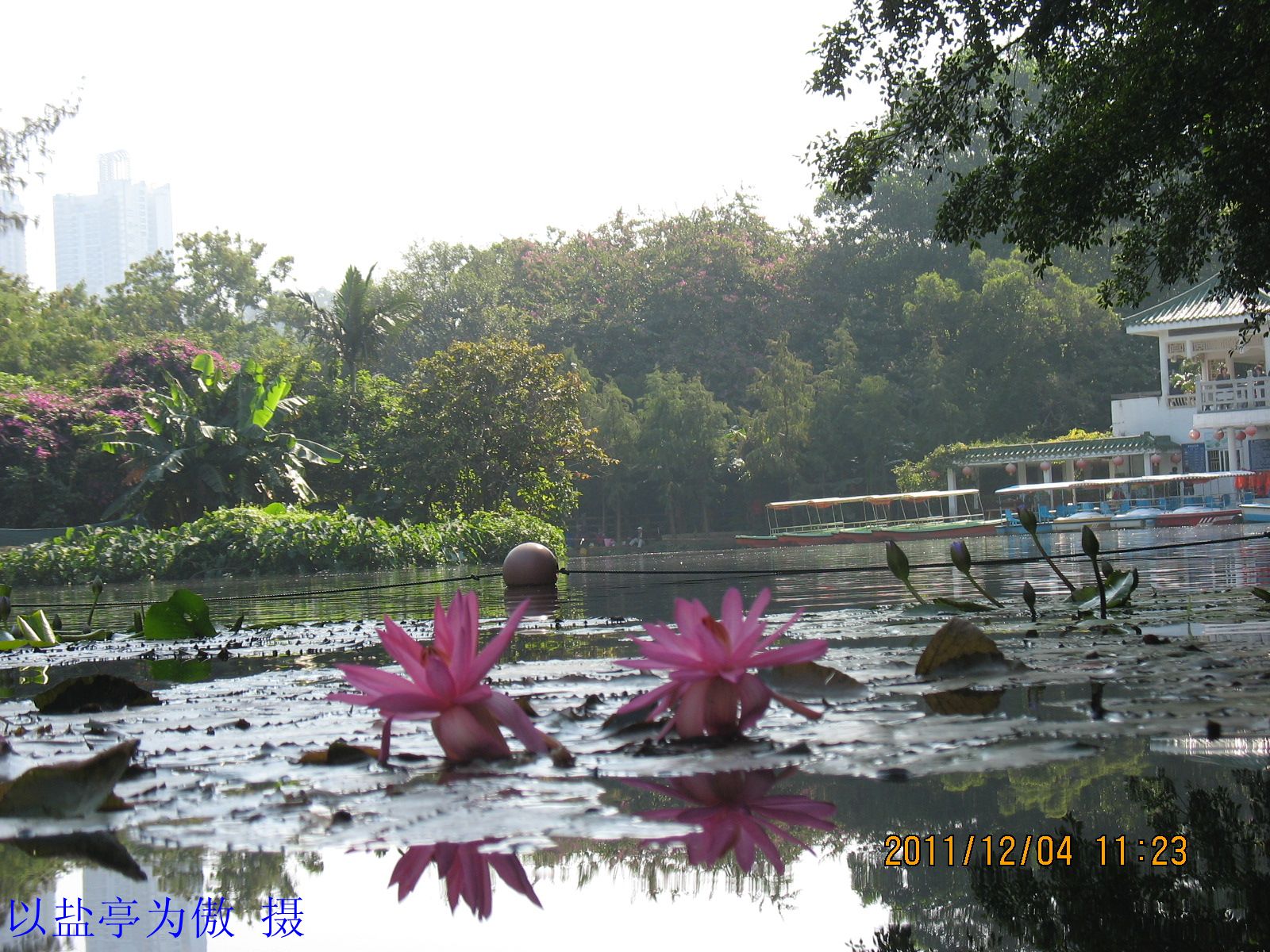 20111204ڶջչ30.jpg