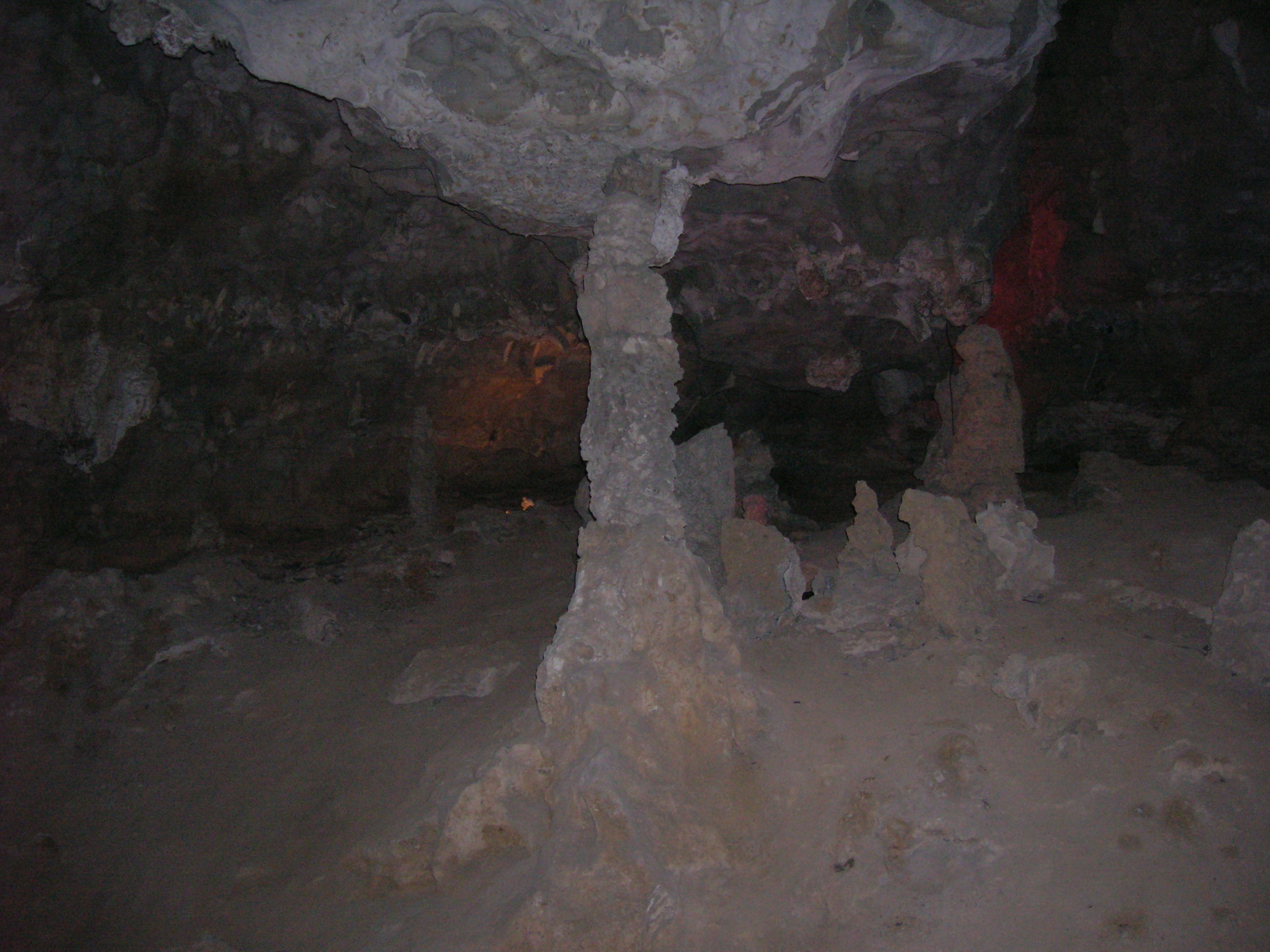 DSCN4345.JPG