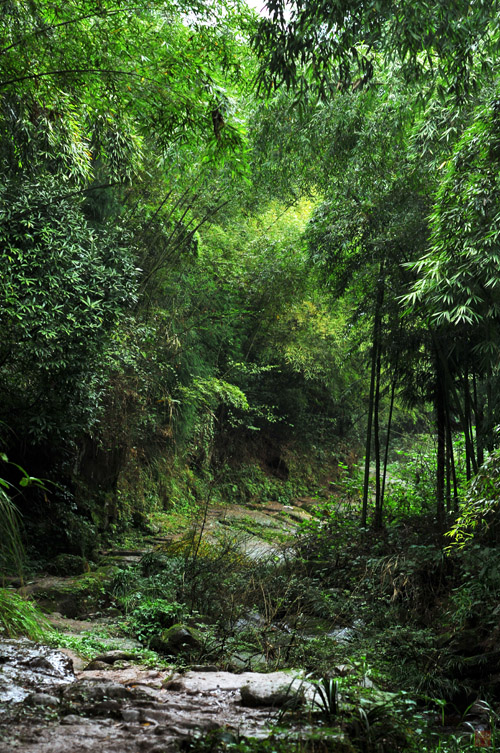 DSC_3490.jpg