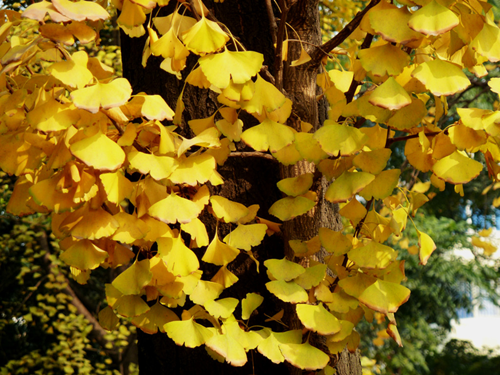 P1280290_.jpg