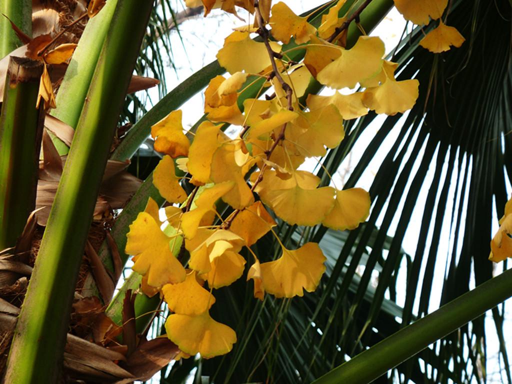 P1280306_.jpg