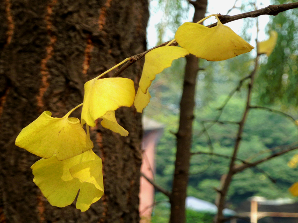 P1280382_.jpg