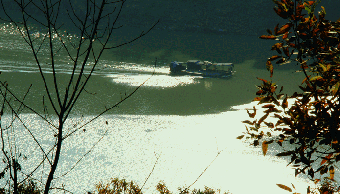 IMG_4879.gif