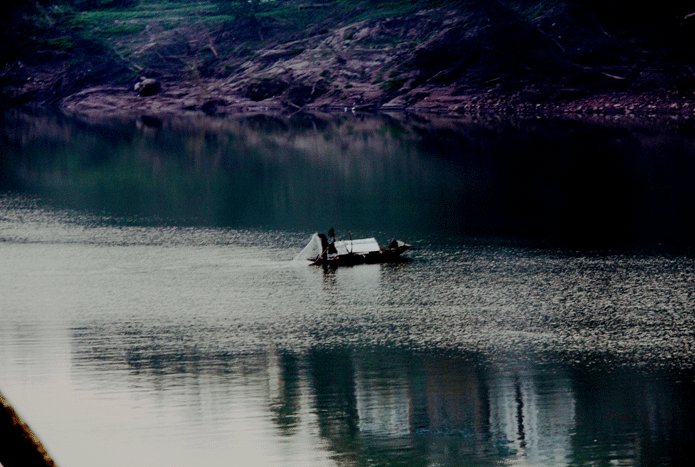IMG_5084.gif