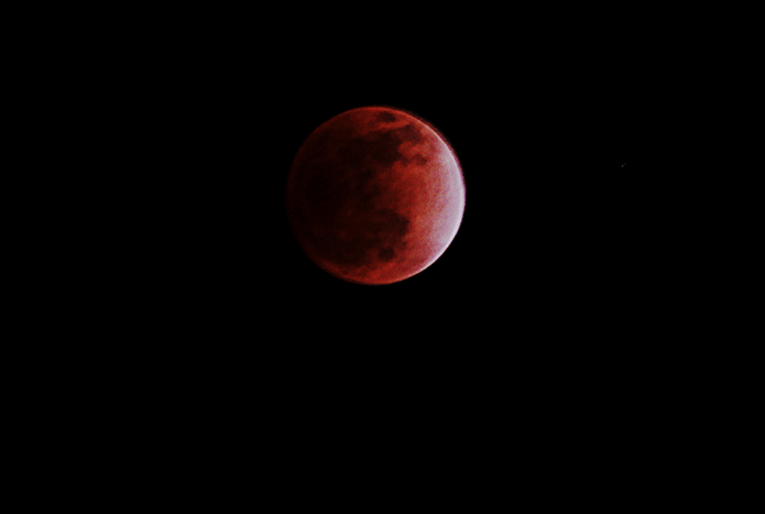 IMG_5060.gif