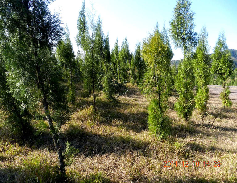 DSCN1188.JPG