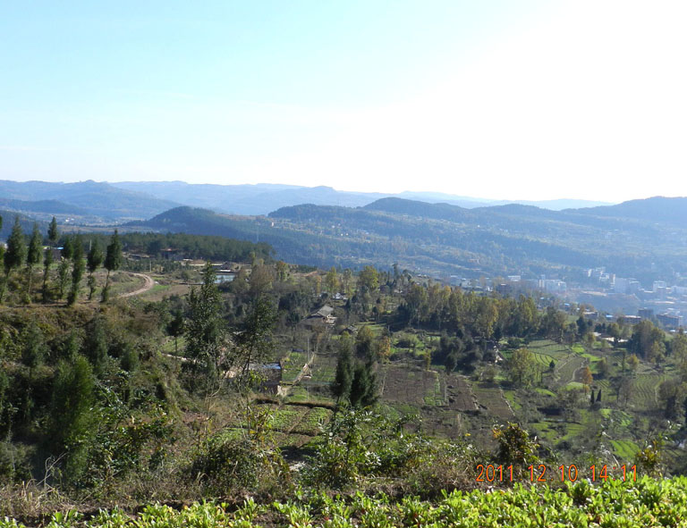 DSCN1177.JPG