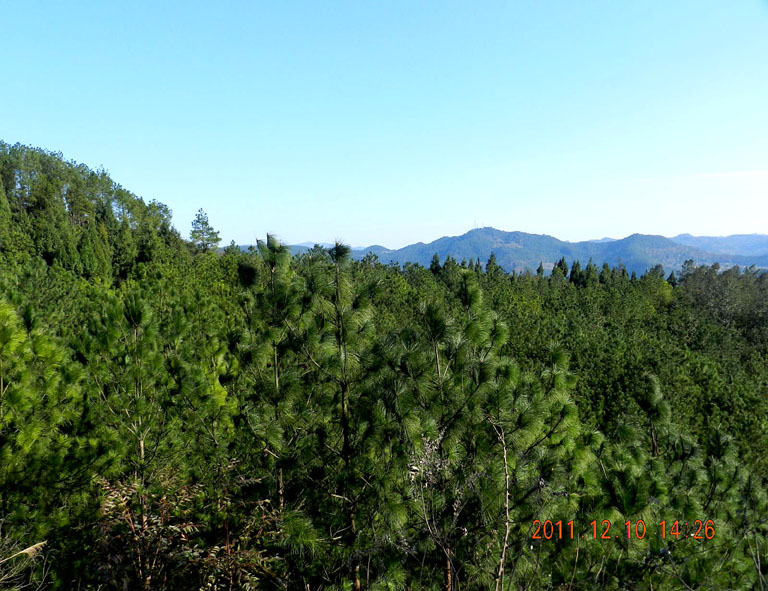 DSCN1183.JPG