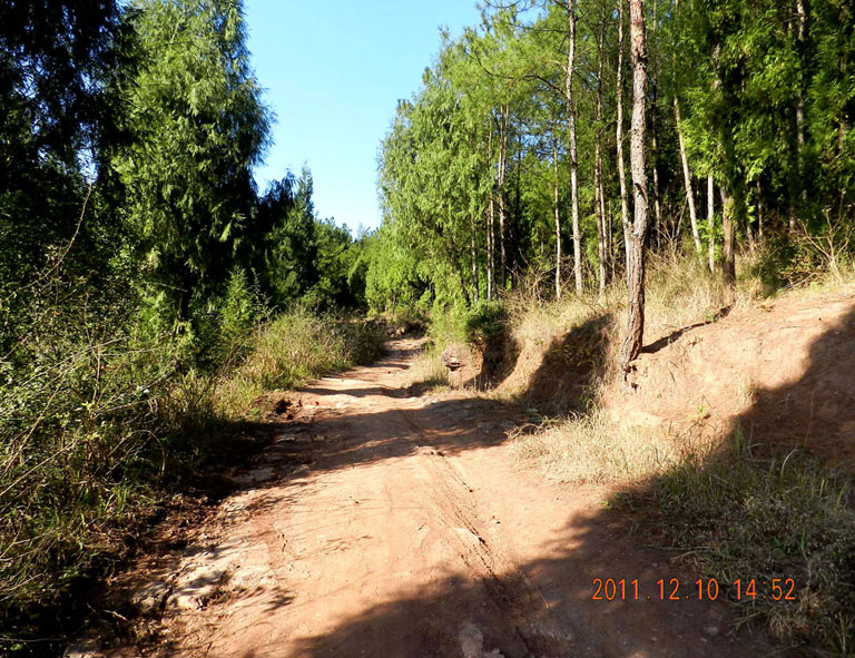 DSCN1193.JPG