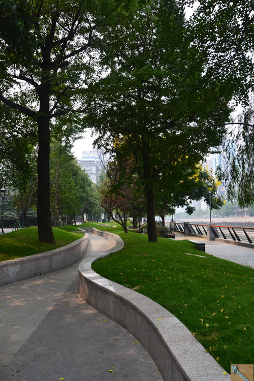 DSC_0156_.jpg