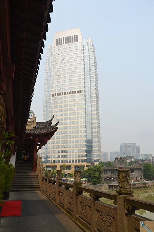 DSC_0168_.jpg