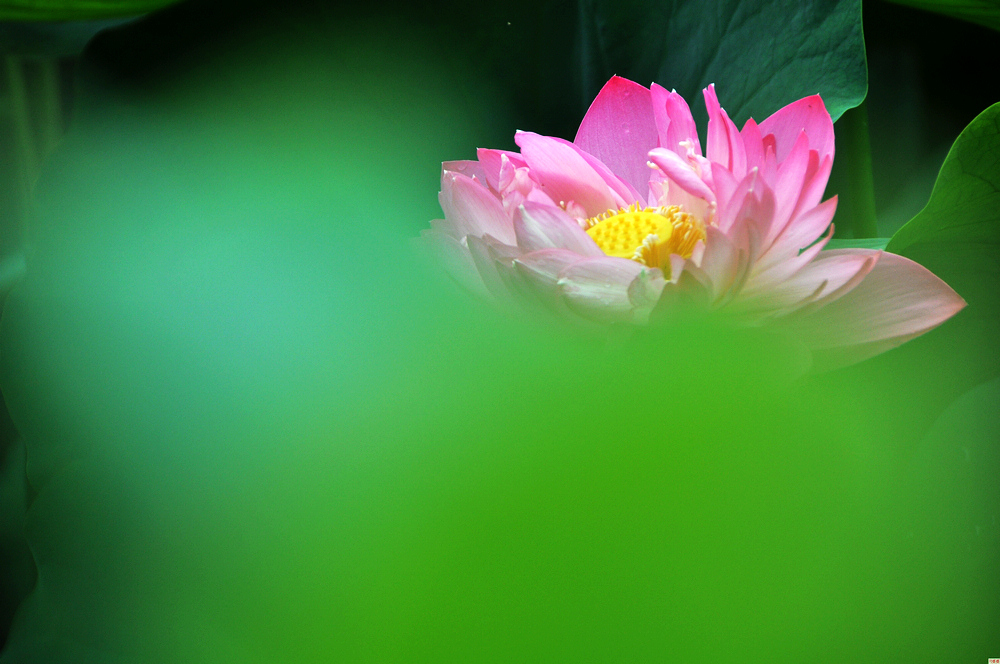 nEO_IMG_DSC_3760.jpg