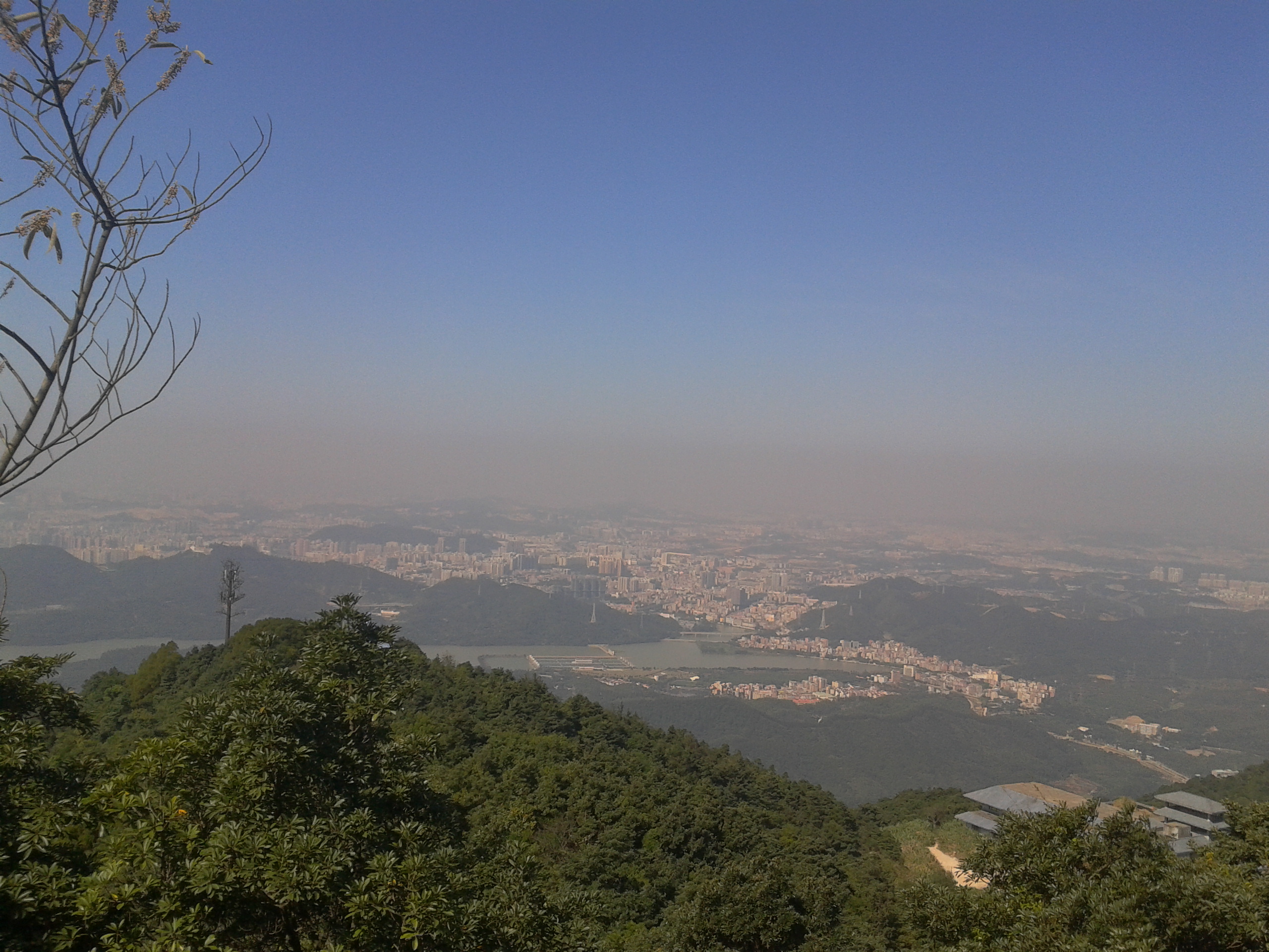 2011-12-11 12.03.36.jpg