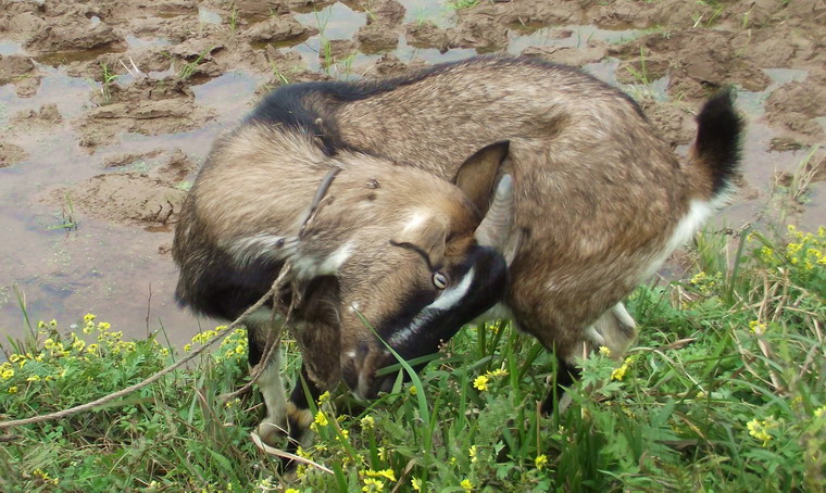 DSCF1479.jpg