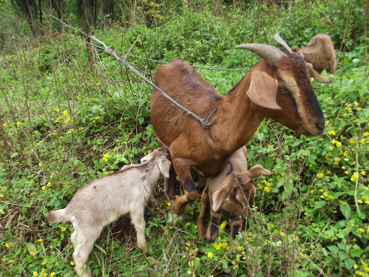 DSCF1492.jpg