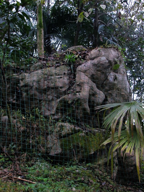 psbCAVHY65D.jpg
