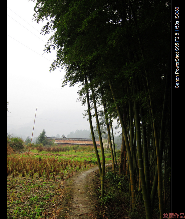 IMG_2732_nEO_IMG.jpg