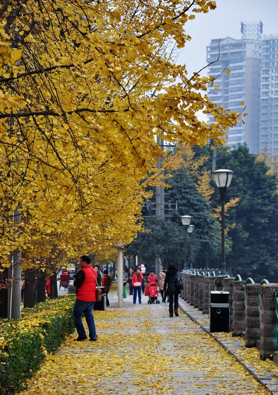DSC_0170.jpg