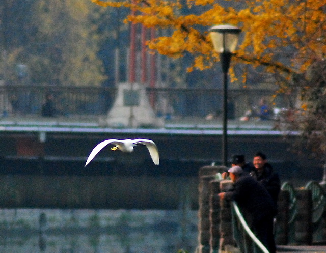 DSC_0218-1-1.jpg