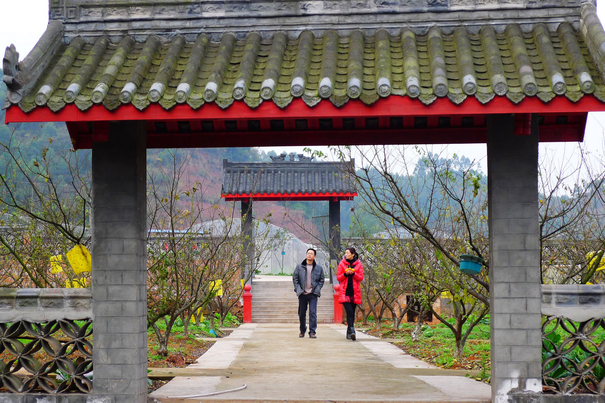 P1010635.JPG