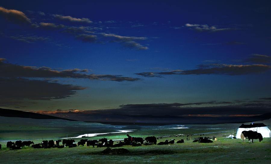 DSC_3476.jpg