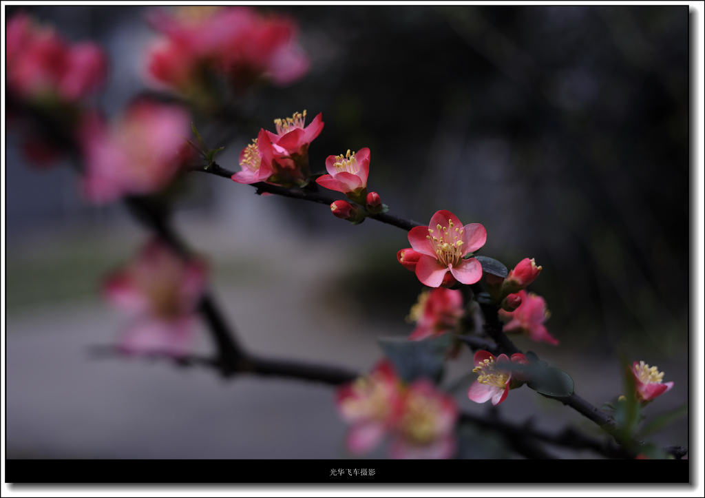 _7HD6348-2.jpg