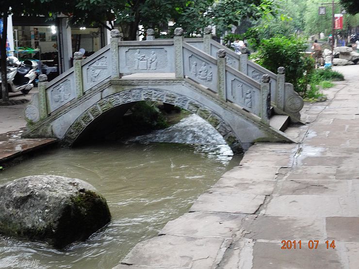DSC00529.jpg