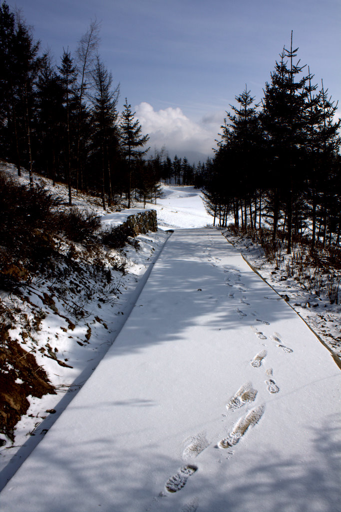 _MG_3858.jpg