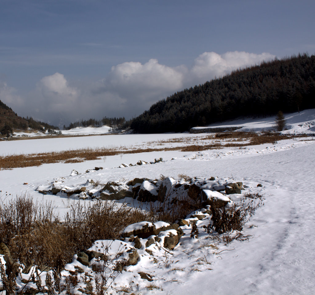 _MG_3890.jpg