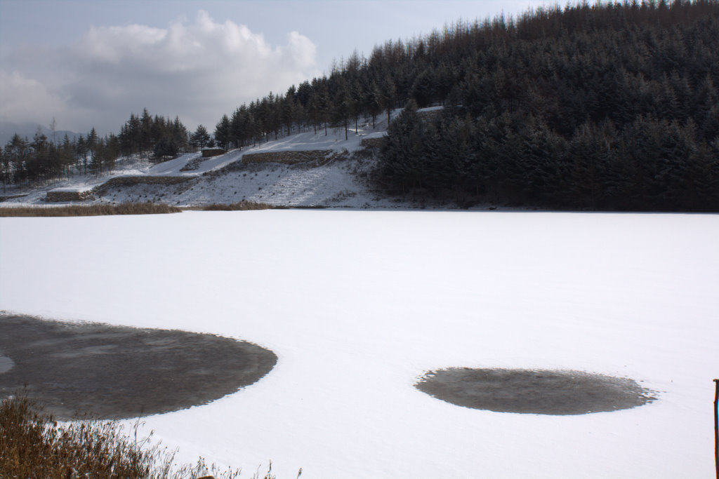 _MG_3872.jpg