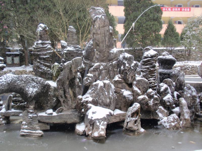 P1050229.JPG