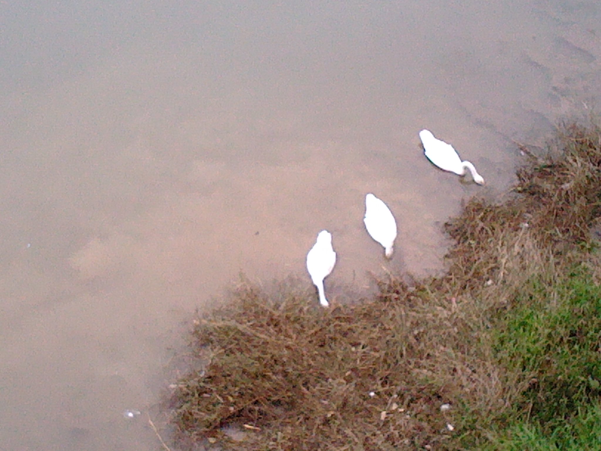 2012-01-08 10.52.58.jpg