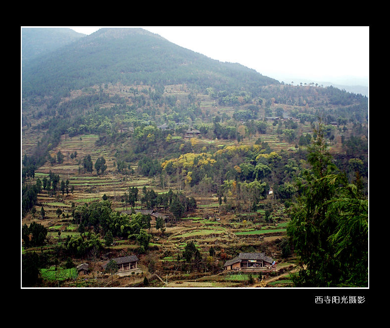 PICT0096.JPG
