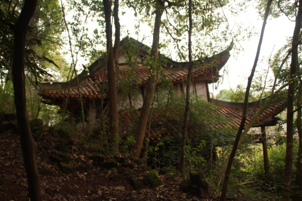 DPP_0011.JPG