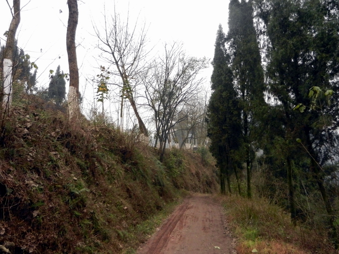 DSCN6037.JPG