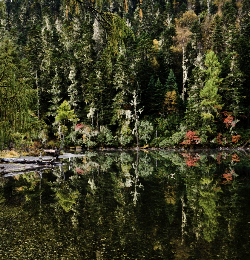 nEO_IMG__MG_7073.jpg