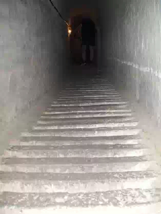 01300000165495121756465688267.jpeg