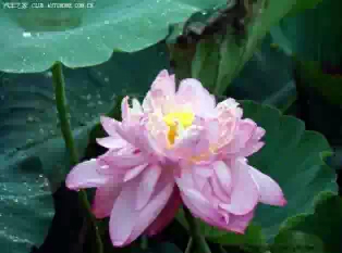 500_e2ce18c7-87c4-4956-a52d-2c391e66cf84.jpeg